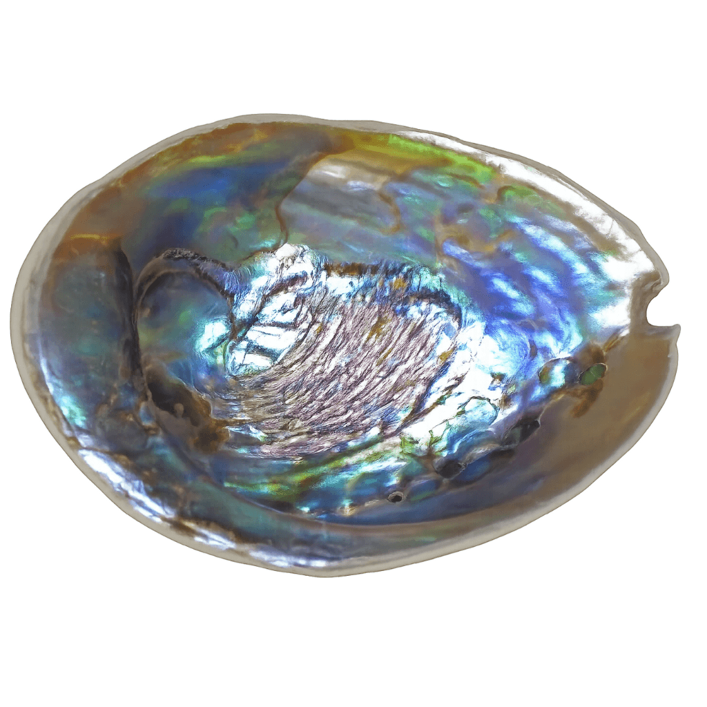 Abalone Shell crystal