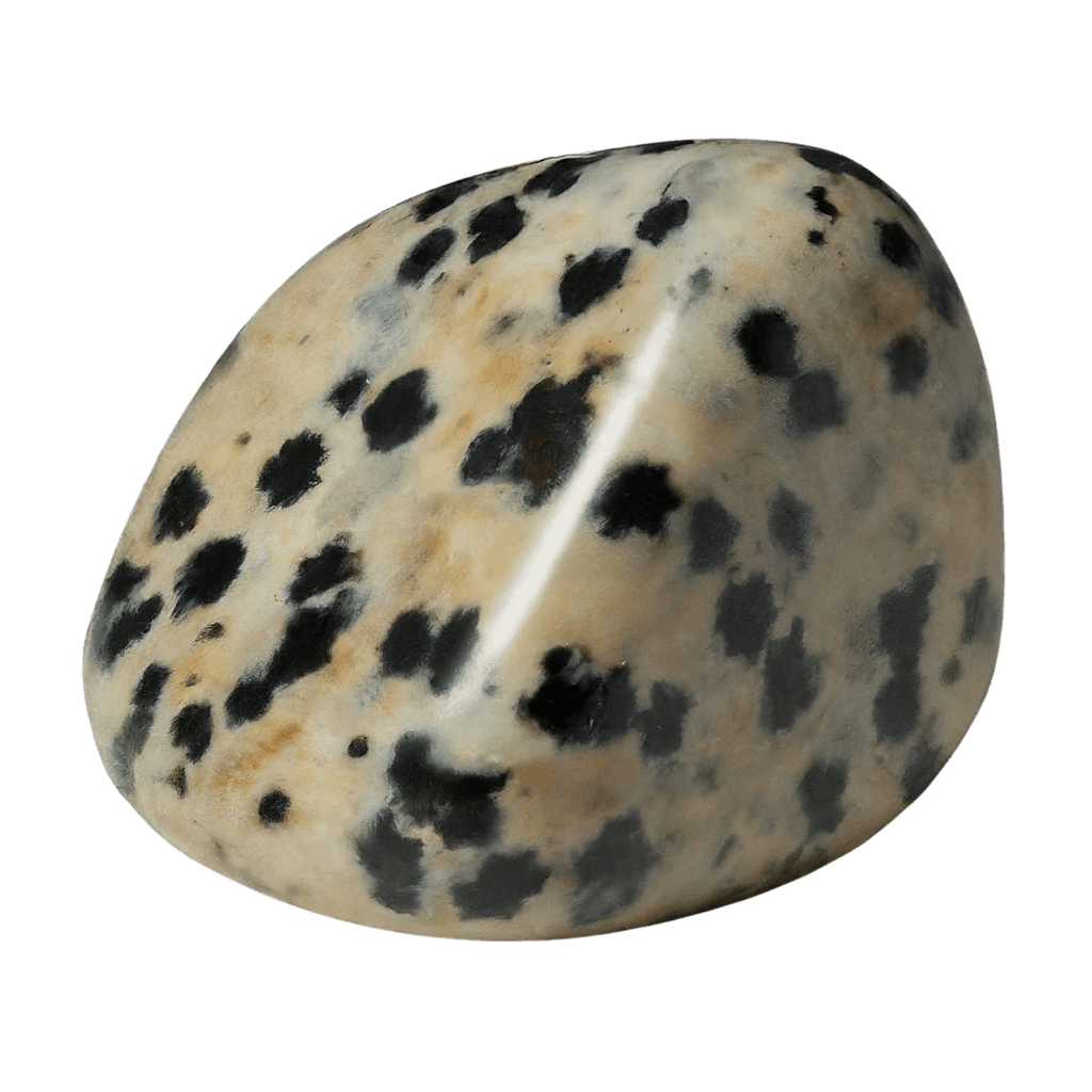 Dalmatian Jasper crystal