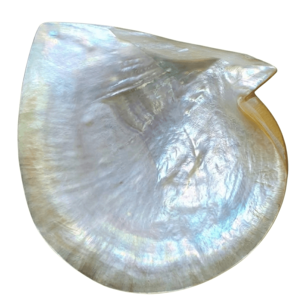 Mother of Pearl crystal