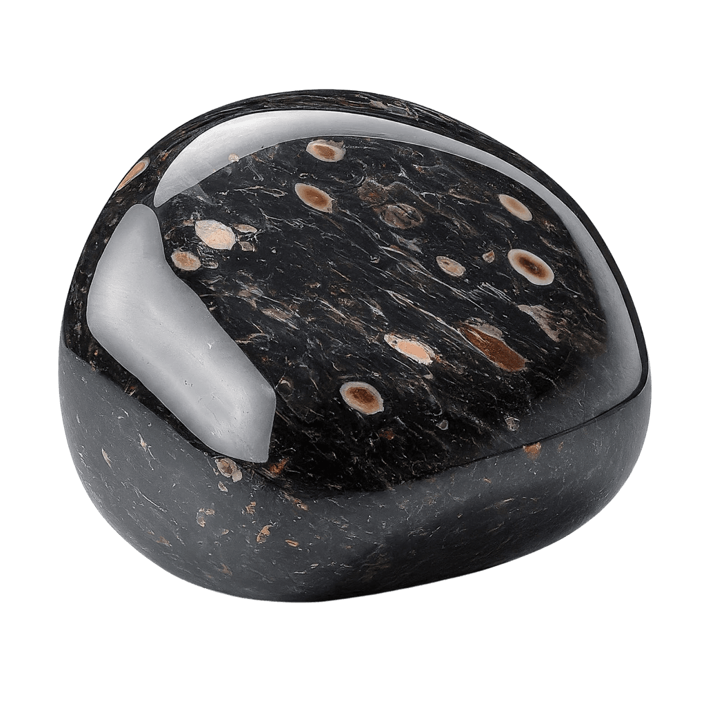 Nuummite crystal