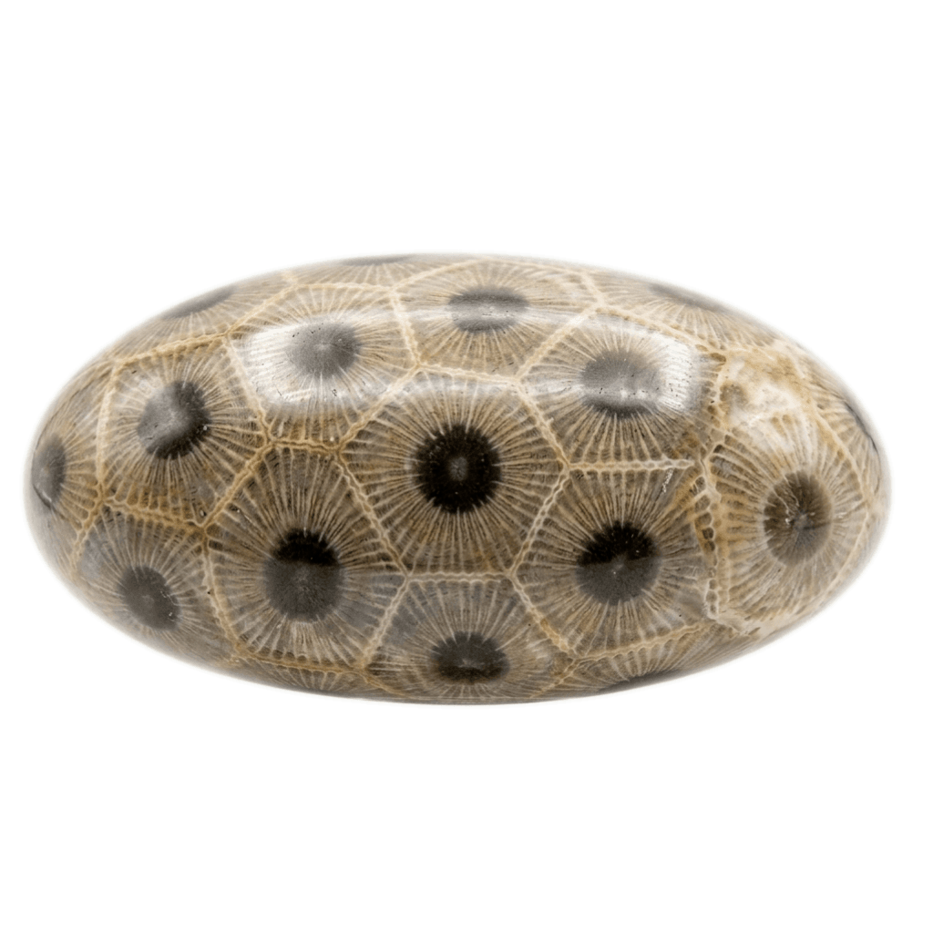Petoskey Stone tumbled stone