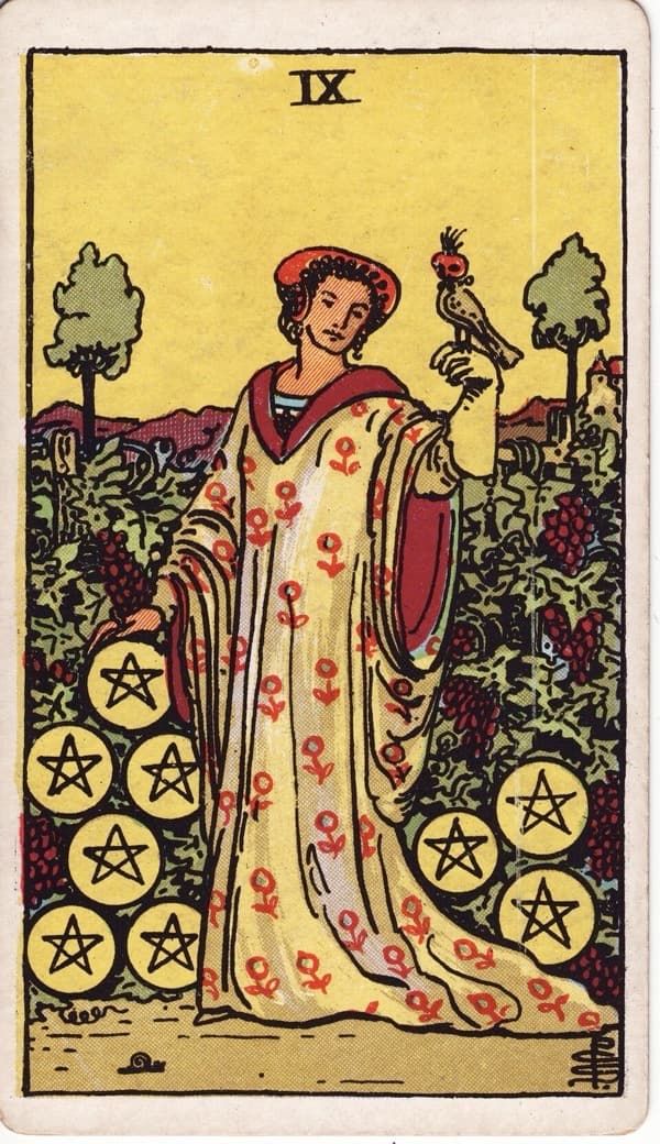 Nine of Pentacles reversed