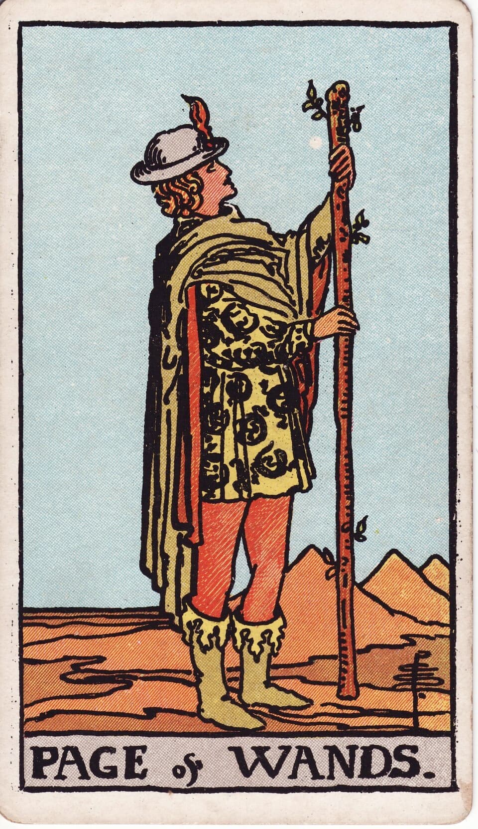 Page of Wands reversed