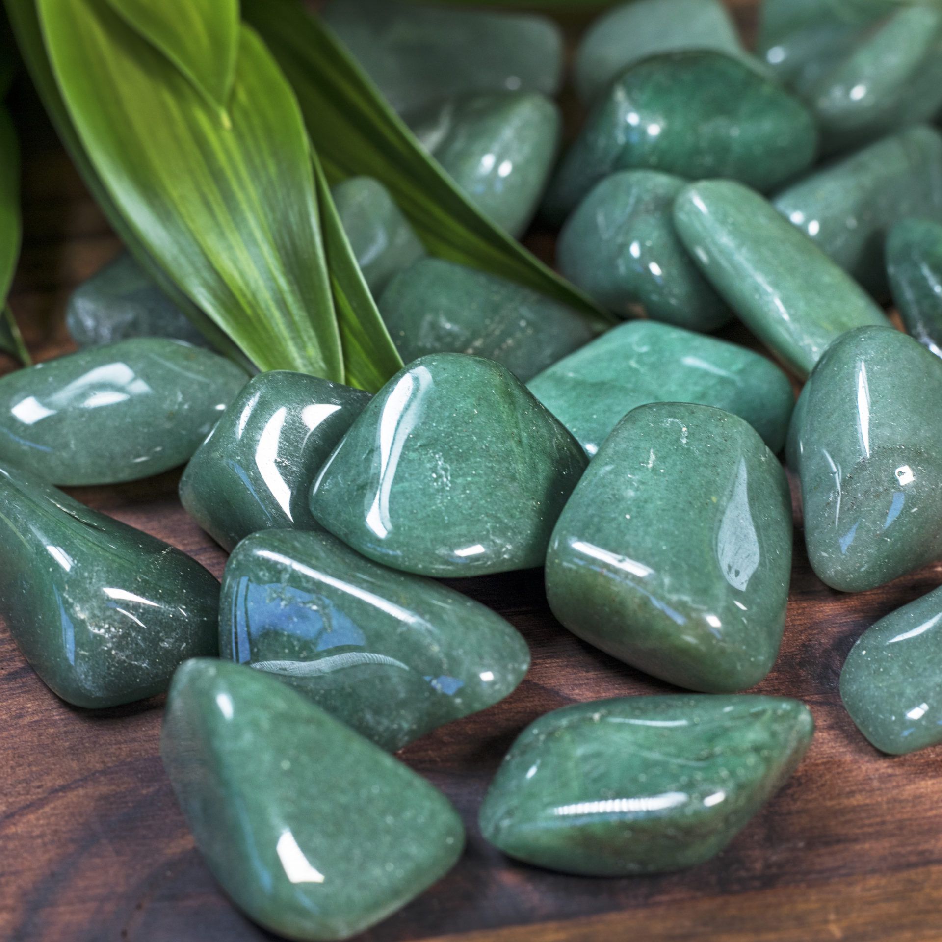 Abundance and Connection with Nature Aventurine Crystal Cactus for Unconditional Love