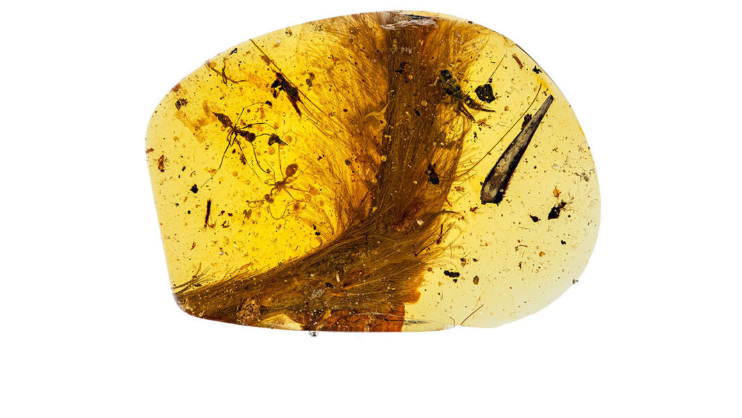 Moss Agate Meanings, Properties and Uses