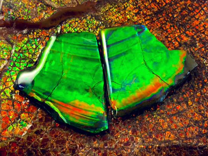 Ammolite Meanings, Properties and Uses