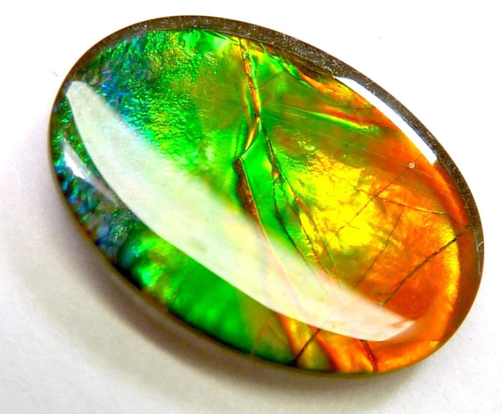 Ammolite meaning