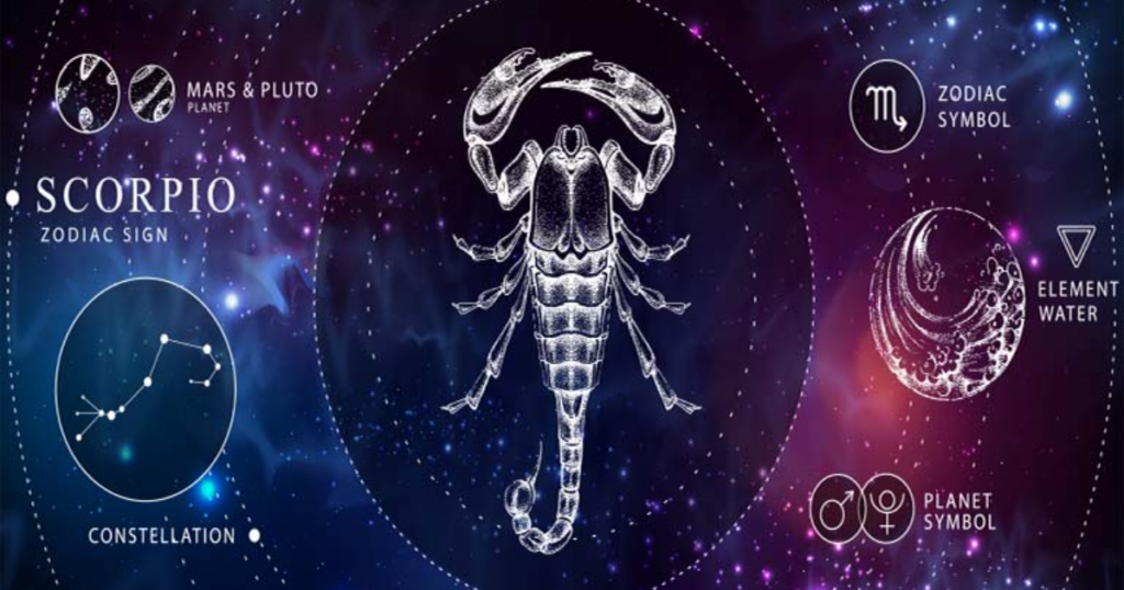 The Meaning of Scorpio (October 23 – November 21)