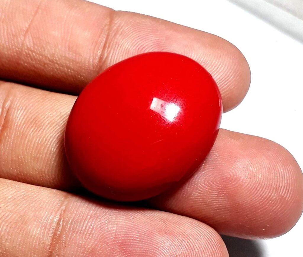 Red Coral 