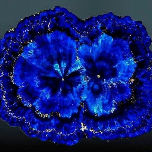 Blue Azurite